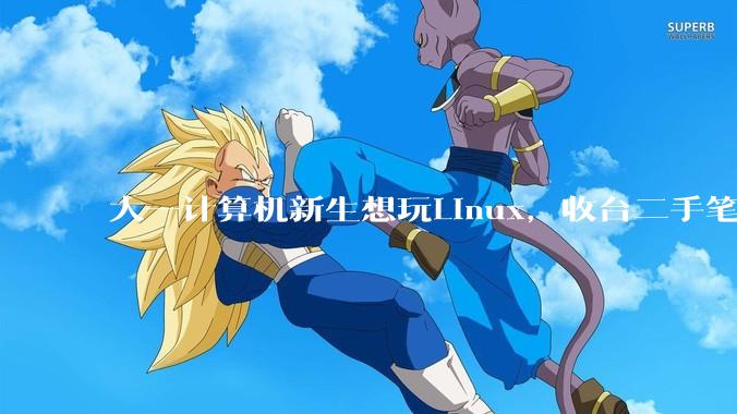 大一计算机新生想玩Linux，收台二手笔记本电脑重装系统是不是最优解?